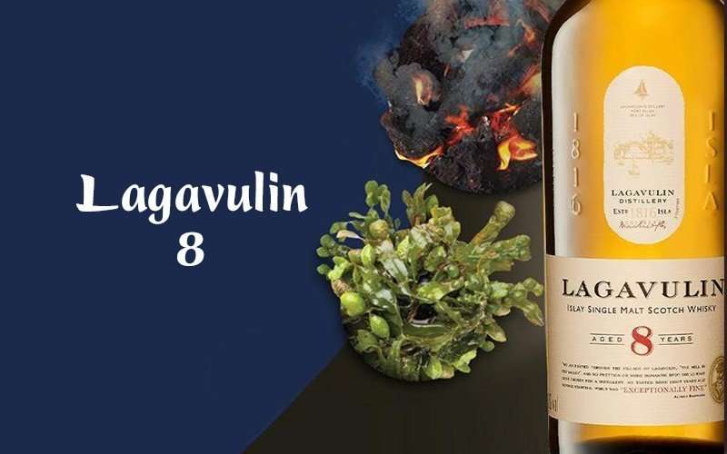 giá rượu lagavulin 8